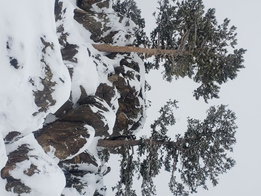 From Denver: Rocky Mountain National Park Fall/Winter Tour - Walking Around a Glacial Lake