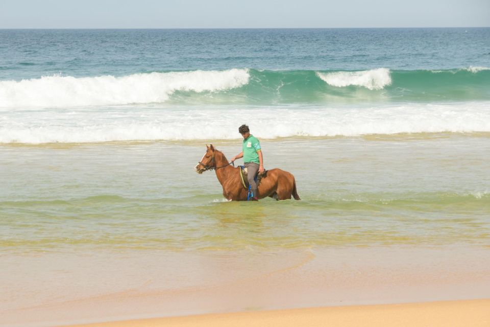 From Evora: Horseback Riding on Comporta Beach - Choosing Your Horse