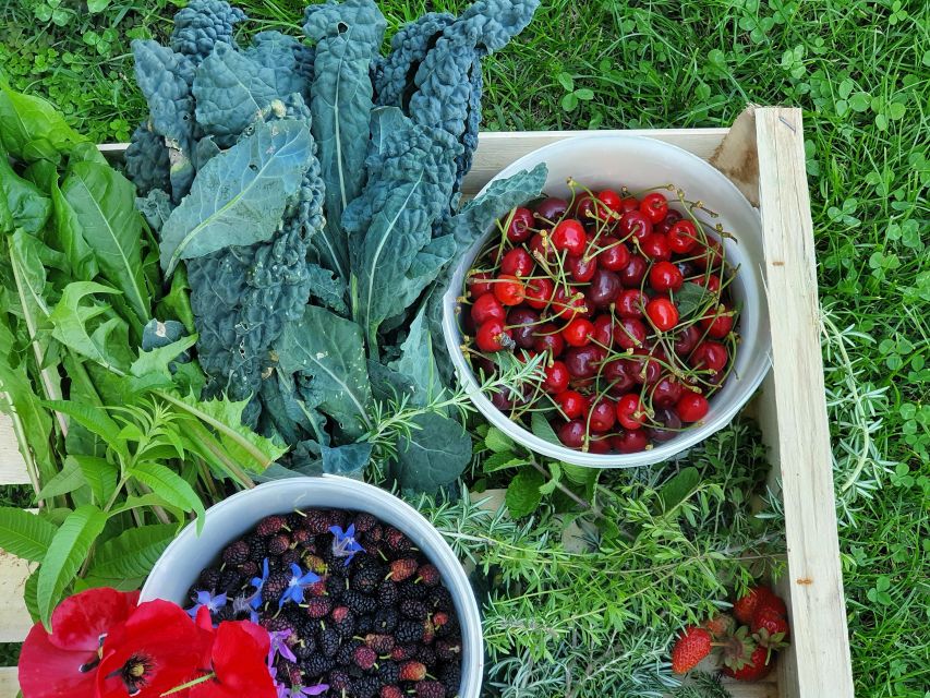 From Field to Table: Harvest and Creative Cuisine - Savoring the Freshly Prepared Meal