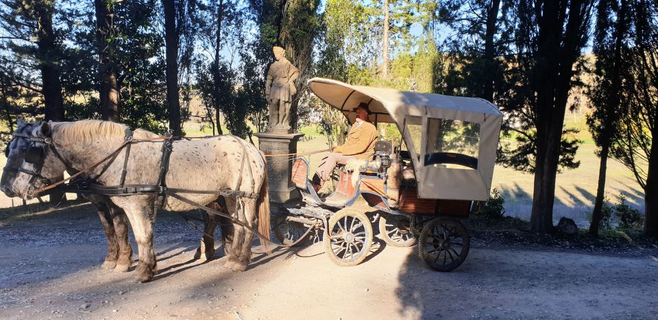 From Florence: Carriage Ride in Chianti Hills With Lunch - Transportation Options