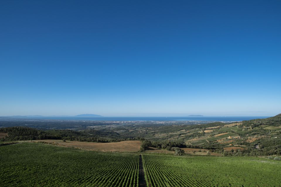 From Florence Private: Bolgheri Wine Tour With Tasting - Explore the Village of Bolgheri