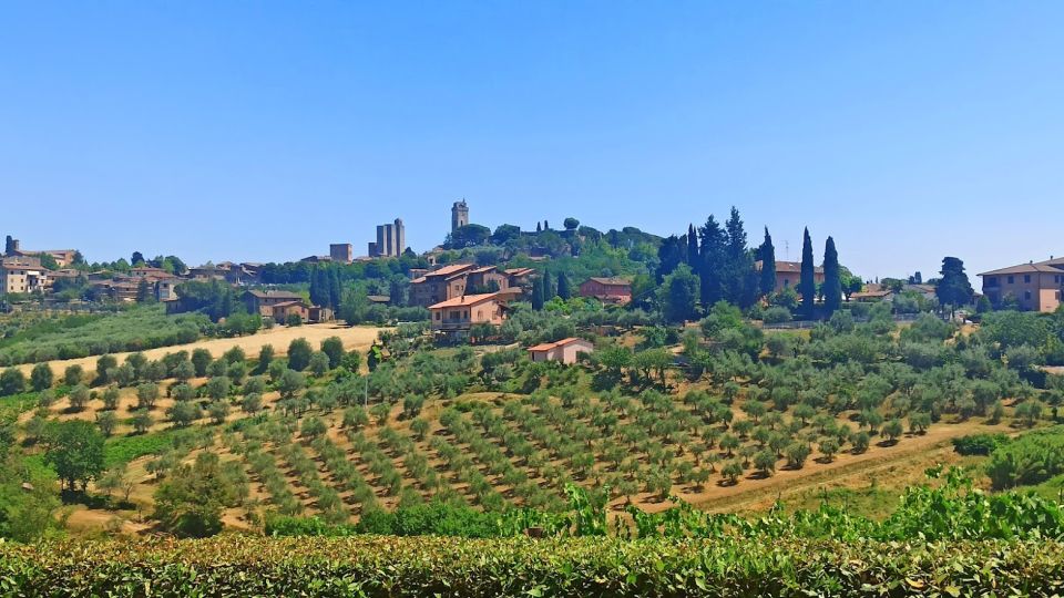 From Florence: Ramble Through the Hills of Chianti - Tuscany Winery Farm Experience