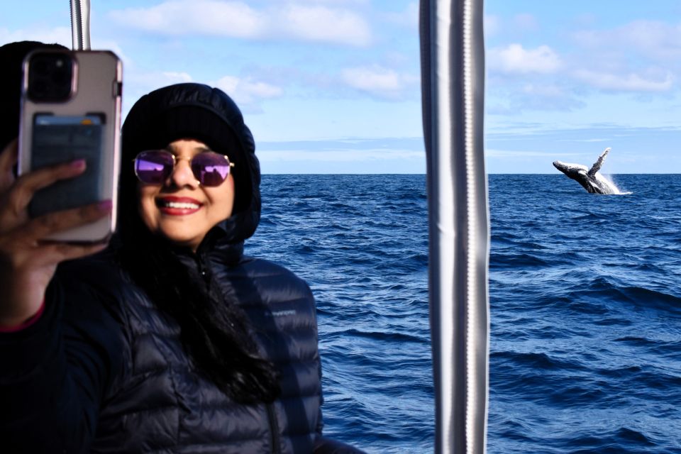 From Fremantle: 2-Hour Luxury Whale-Watching Cruise - Price and Duration