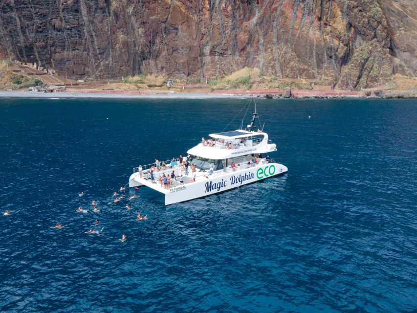 From Funchal: Ecological Catamaran Dolphin Whale Watching - Onboard Facilities