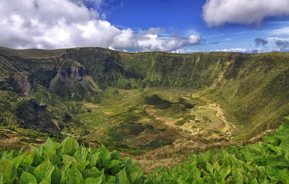 From Horta: Guided Faial Island Tour - Inclusions