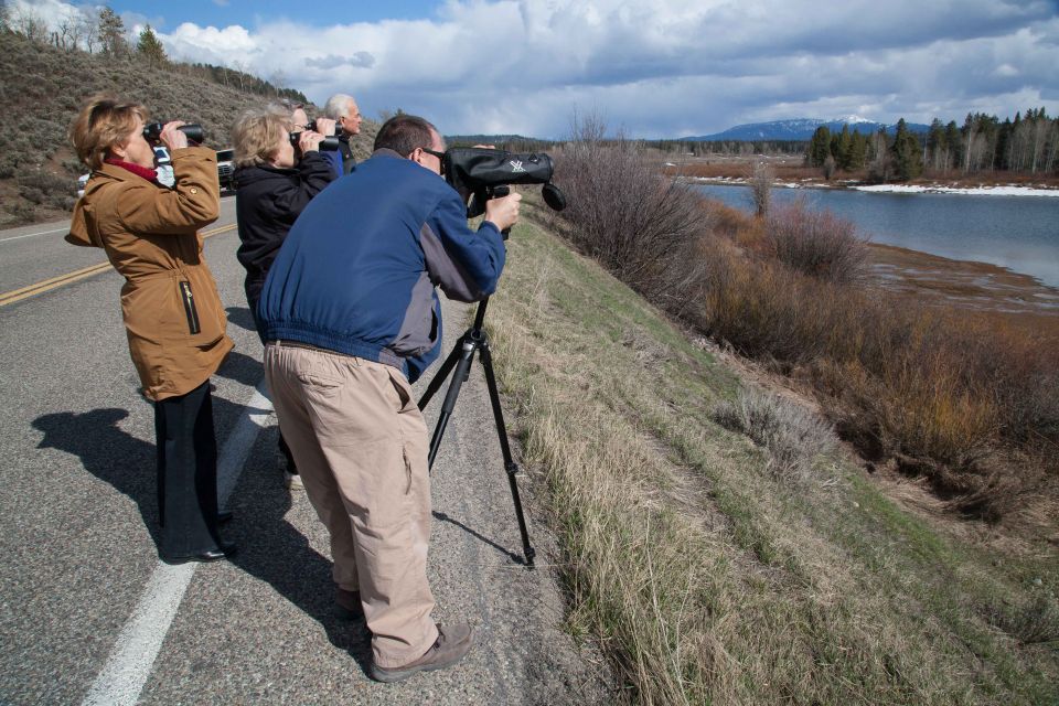 From Jackson Hole: Half-Day Grand Teton Wildlife Tour - Included Amenities and Gear