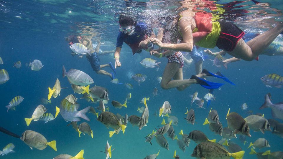 From La Paz: Swim With Sea Lions & Espíritu Santo Boat Tour - Enjoying Ceviche on the Beach