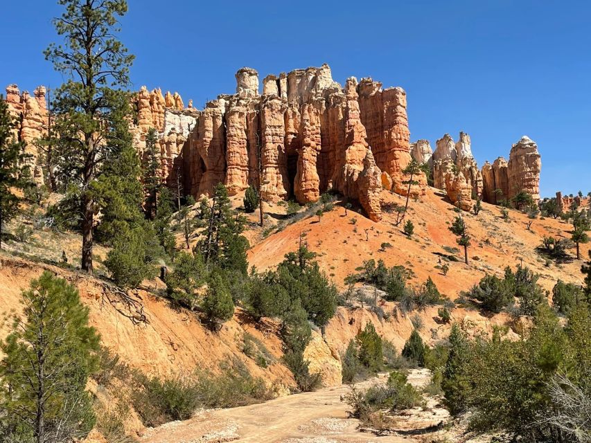 From Las Vegas: Bryce Canyon & Zion National Park Day Trip - Visitor Center and Checkerboard Mesa