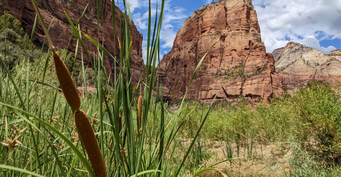 From Las Vegas: Zion National Park Small Group Adventure - Recommended Attire