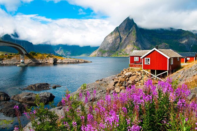 From Leknes Port: Special Summer Guided Tour of Lofoten - Securing Your Spot: Booking and Availability