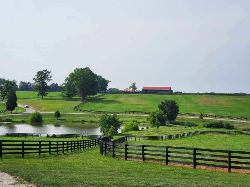 From Lexington: Kentucky Horse Farms Tour - Other Prestigious Horse Farms