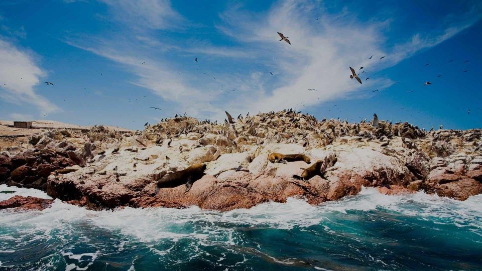 From Lima: Amazing Cusco - Puno 7D/6N Private | Luxury ☆☆☆☆ - Lima Exploration