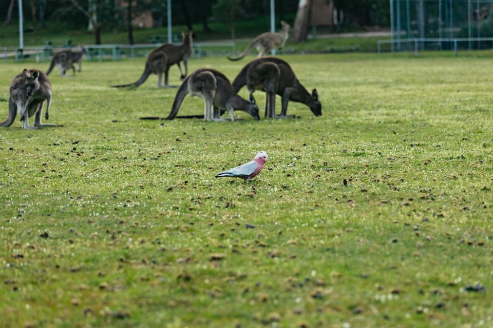 From Melbourne: Grampians National Park Group Tour - Itinerary