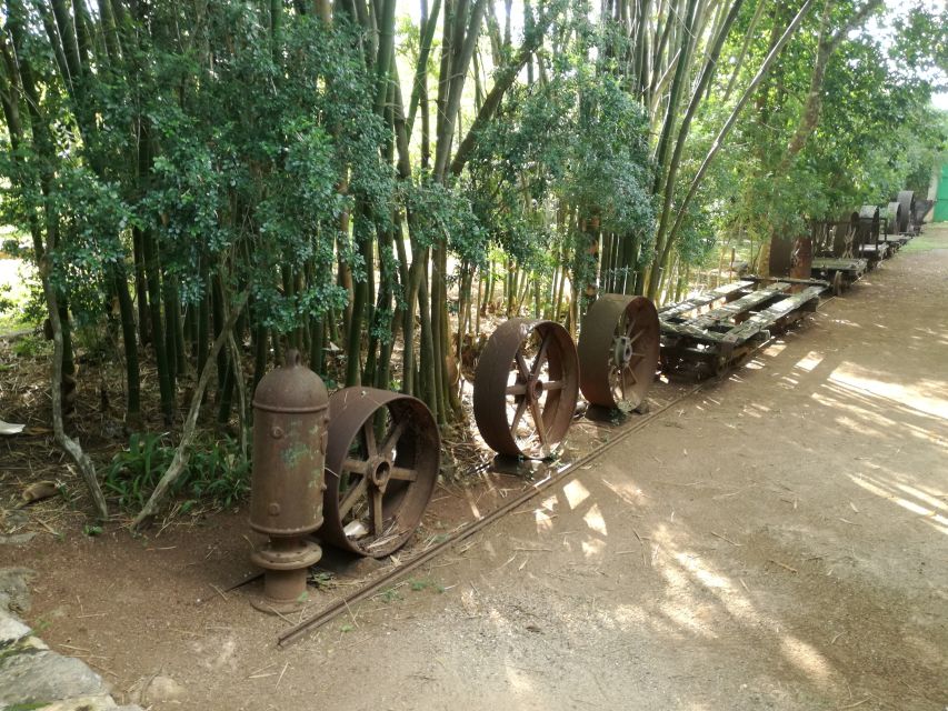 From Merida: Uxmal, Hacienda Yaxcopoil and Cenote With Lunch - Lunch at Local Restaurant