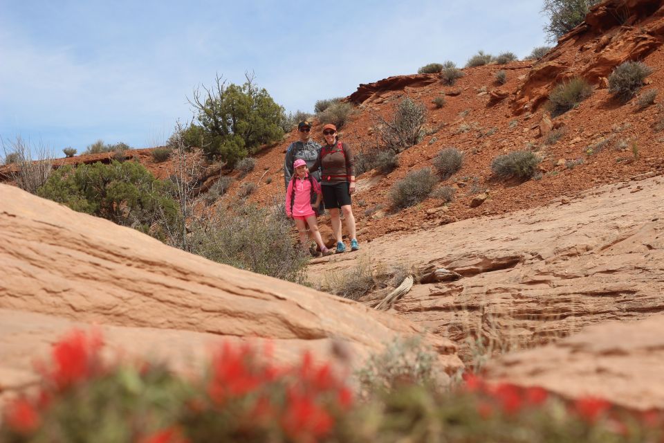 From Moab: 1-Day Horseshoe Canyon Exploration - Explore Horseshoe Canyon