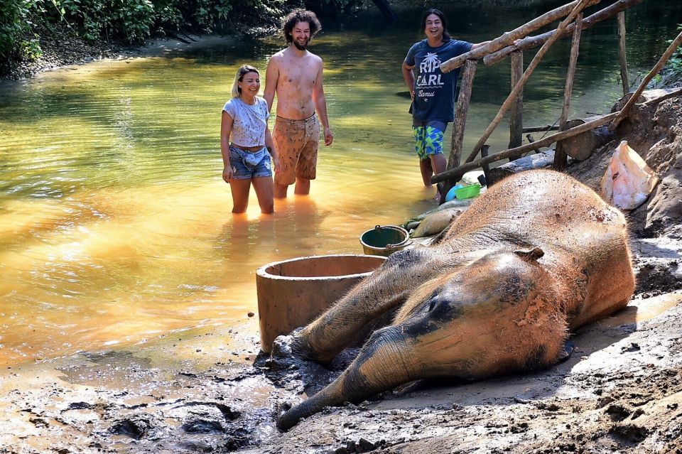 From Phuket: Elephant & Sea Turtle Conservation Private Tour - Wat Lak Kaen Temple