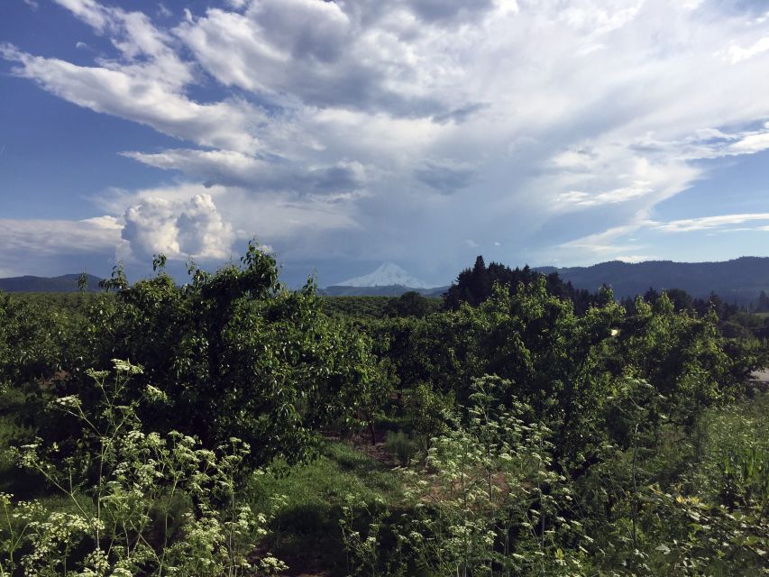 From Portland: Mt Hood, Hood River Valley and Columbia Gorge - Hood River Valley