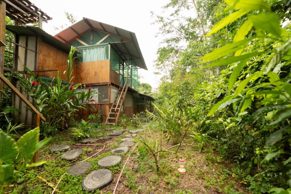 From Puerto Maldonado: 4-Day Excursion /wildlifesearch - Tambopata River at Twilight