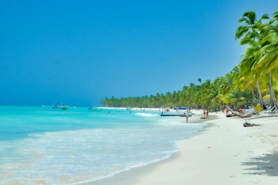 From Punta Cana: Saona Island Private Guided Catamaran Tour - Relaxation on Abanico Beach