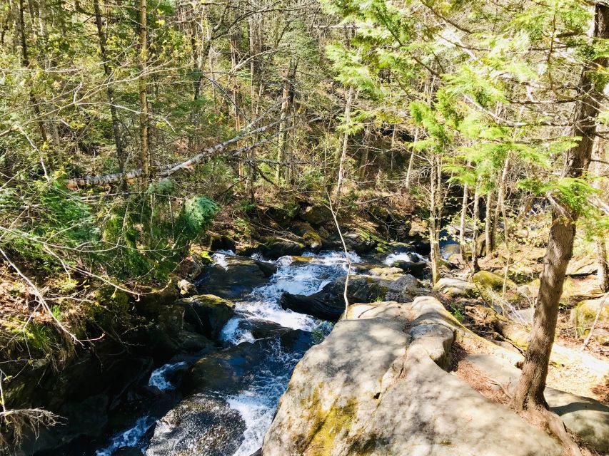 From Quebec City: Jacques-Cartier National Park Hiking Tour - Accessibility and Considerations