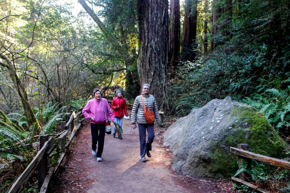 From San Francisco: Muir Woods Wine Tour With Napa & Sonoma - Minimum Age and Important Information