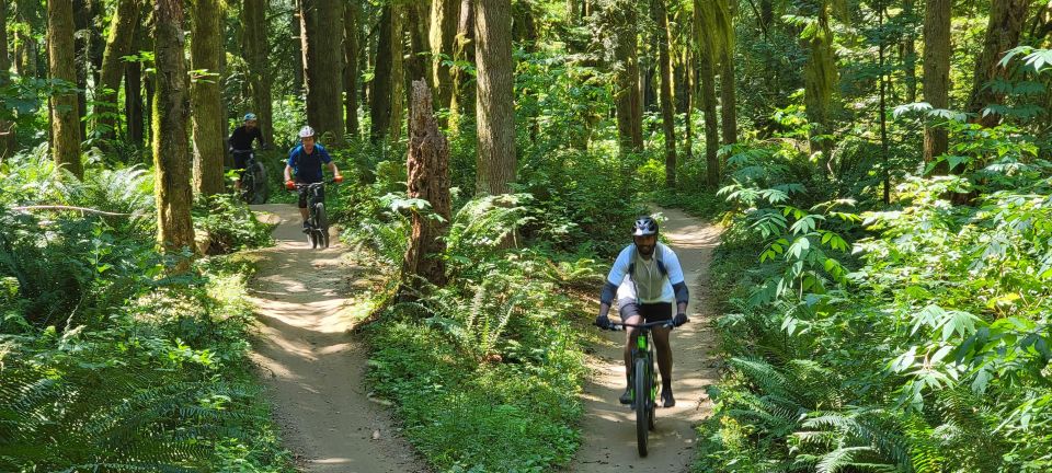 From Seattle: Full Day All-Inclusive Mountain Bike Tour - Safety Precautions