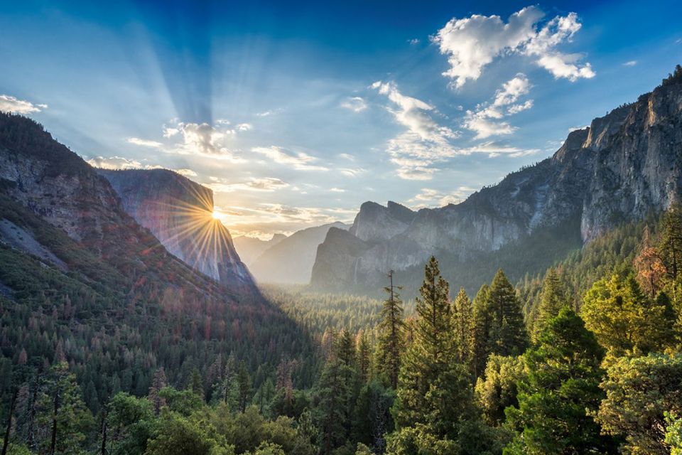 From Sf: Yosemite Day Trip With Giant Sequoias Hike & Pickup - Hiking the Giant Sequoias