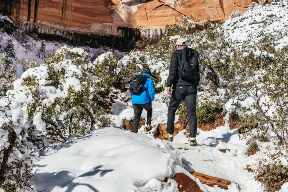 From Springdale: 4-hour Zion Canyon Scenic Hiking Tour - Preparing for the Hiking Tour