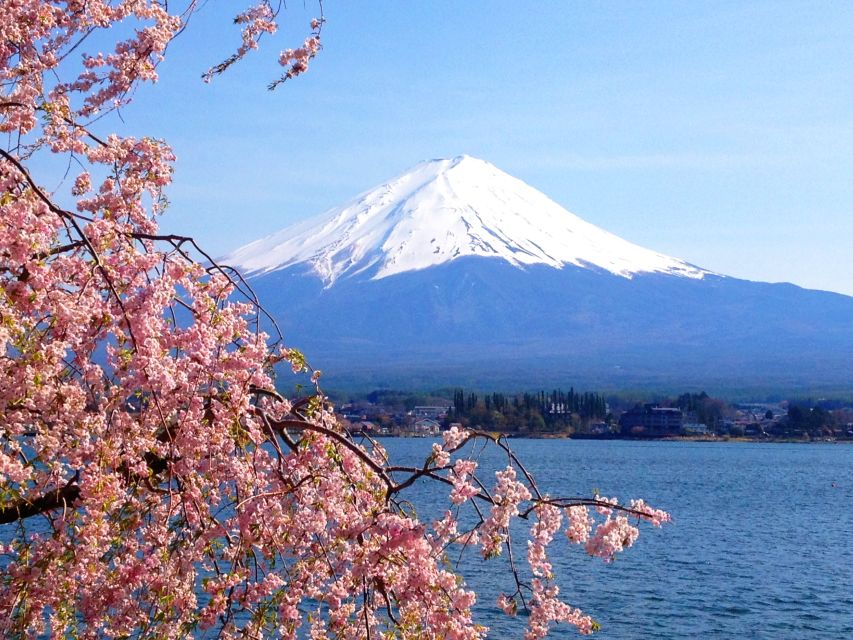 From Tokyo: Mt. Fuji or Hakone Private Sightseeing Day Trip - Riding the Hakone Ropeway