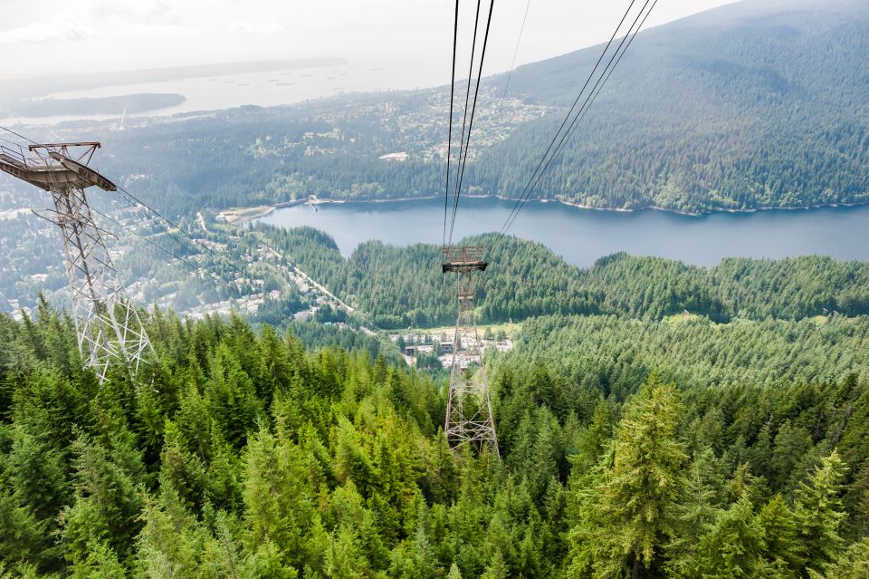 From Vancouver: Grouse Mountain & Capilano Suspension Bridge - Downtown Vancouver Highlights