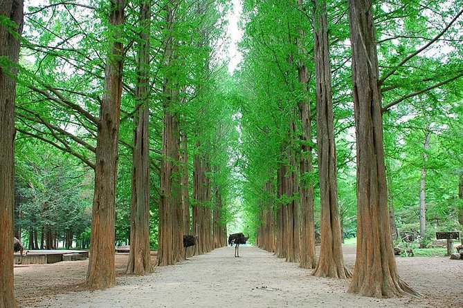 Full-Day Customizable Private Tour to Nami Island and Surrounding Area - Pricing Information