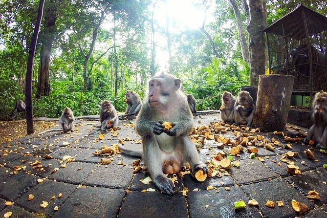 Full-Day in Bali: Private Design-Your-Own Tour - Private Tour Experience