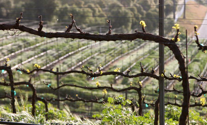 Full-Day Inclusive Wine Tasting Tour From Santa Barbara - Pricing