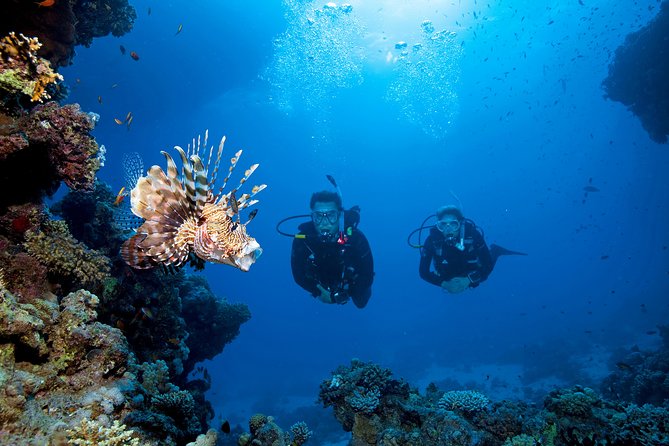 Full-Day Racha Yai Private Scuba Diving Course From Phuket - Perfect for Beginner Divers