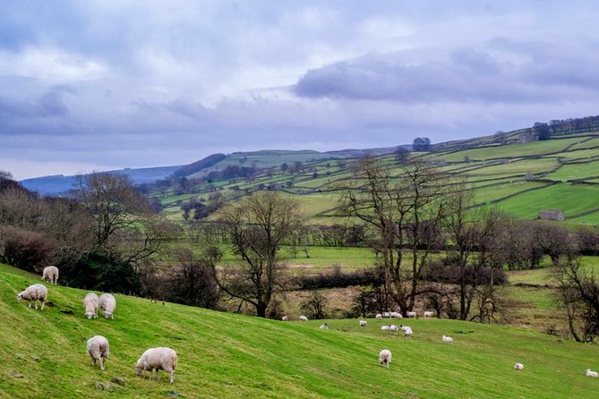 Full-Day Yorkshire Dales Tour From York - Guides Insights and Commentary