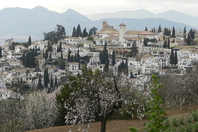 Granada Day Trip: Alhambra & Nazaries Palaces From Seville - Professional Guides Insights