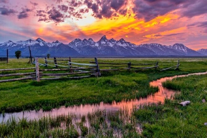 Grand Teton Wildlife Safari in a Enclosed or Open-Air Vehicle (Season Dependent) - Reviews and Recommendations