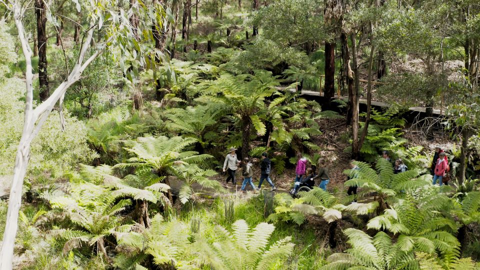 Great Ocean Road: Guided Wildlife Walk That Supports Nature - What to Bring and Not Allowed