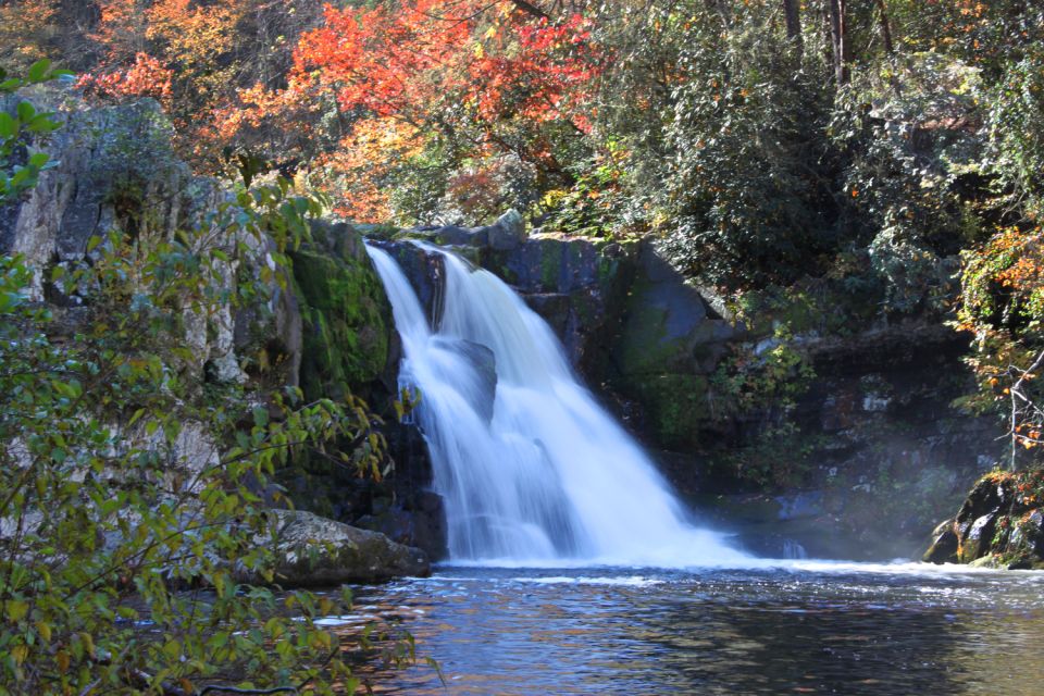 Great Smoky Mountains NP & Cades Cove Self-Guided Tour - Exploring Alum Cave