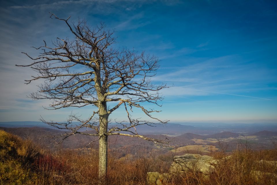 Great Smoky & Shenandoah National Park Driving Audio Tour - Cades Cove: Historic Mountain Life