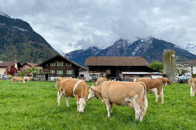 Grindelwald, Lauterbrunnen & Mürren Private Day Trip From Zurich - Delicious Swiss Outdoor Raclette