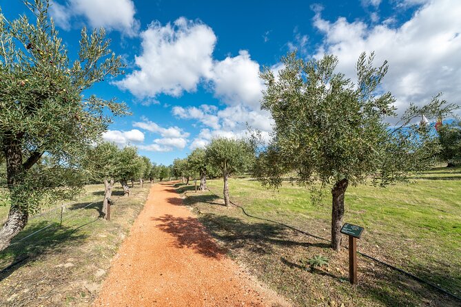 Guided Tour and Olive Oil Tasting in Ronda - Booking and Confirmation