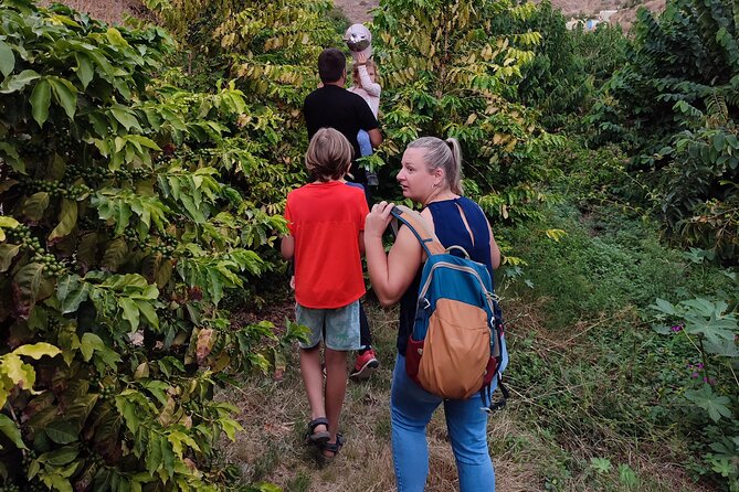 Guided Tour to the Only Coffee Farm in Europe - Visitor Feedback and Accolades