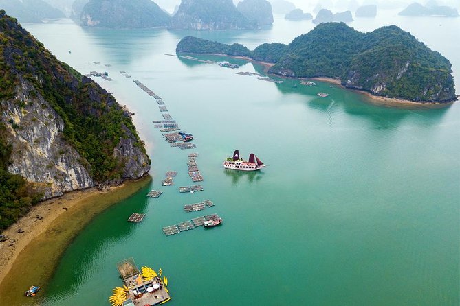 Ha Long Bay Cruise Day Tour - Best Selling: Kayaking, Swimming, Hiking & Lunch - Departure and Pickup Details