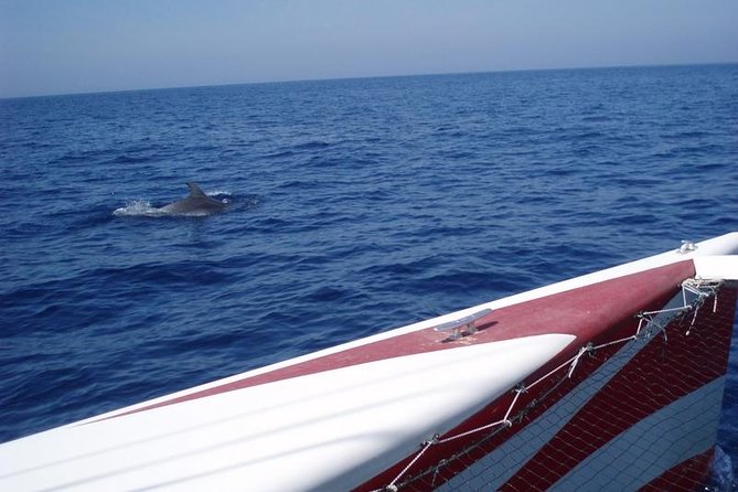 Half-Day Catamaran Trip in Menorca - Small-Group Experience