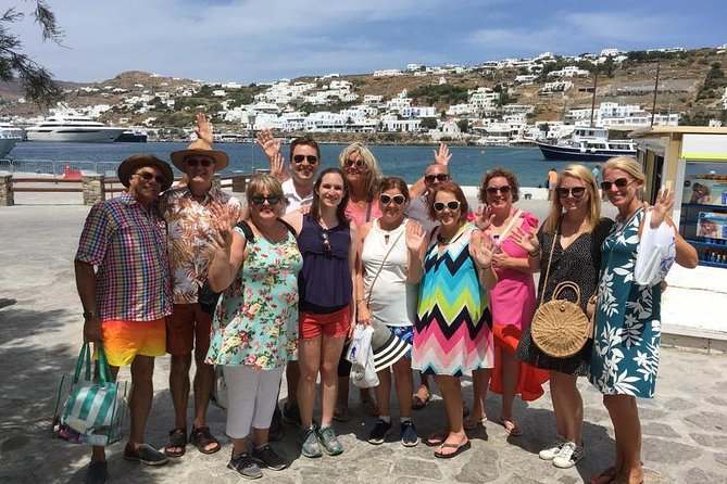 Half-Day Highlights of Mykonos Tour - Meeting Point and Return