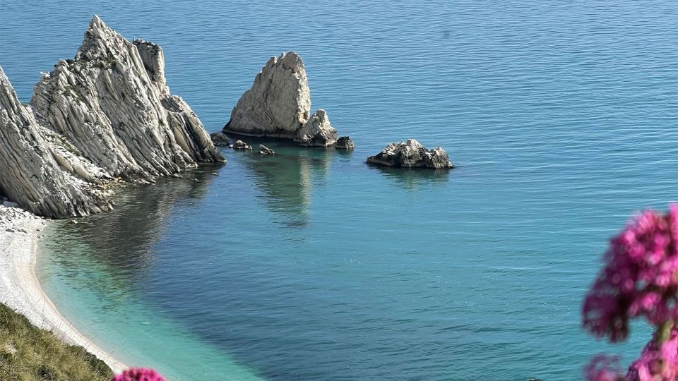 Half-Day Kayak Excursion From Portonovo - Discover Coneros Nature