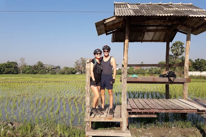 Half-Day Ping River and Rice Paddies E-Bike Adventure (Flat Land, Guided) - Pedaling Past Rice Paddies