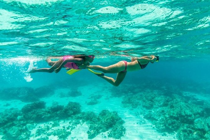 Half-Day Snorkel Sail Tour With Caribbean Lunch - Tour Group Size