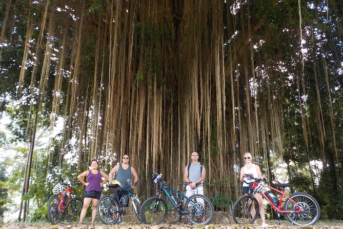 Half-Day Ubud Electric Cycling Tour to Tirta Empul Water Temple - Additional Information